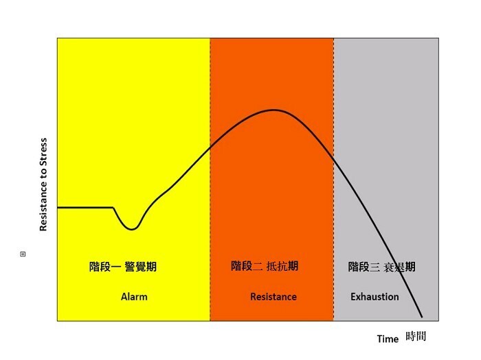 general adaptation syndrome, GAS
